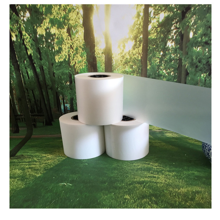 CPE Frosted Film - D2W Frosted Bag Film, CPE Printing Film, CPE Cast Film, Frosted CPE Roll Film